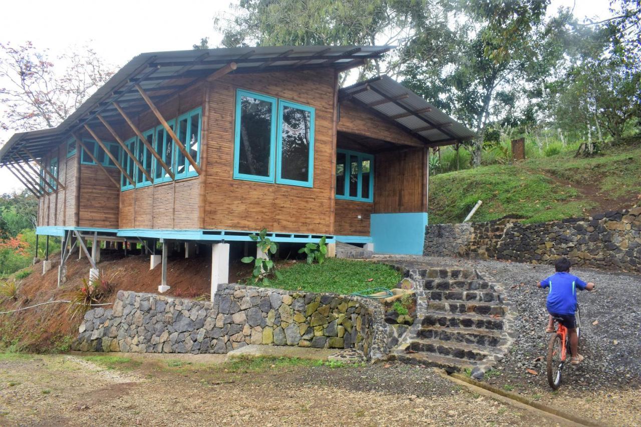 Вилла Casa De Bambu Турриальба Экстерьер фото