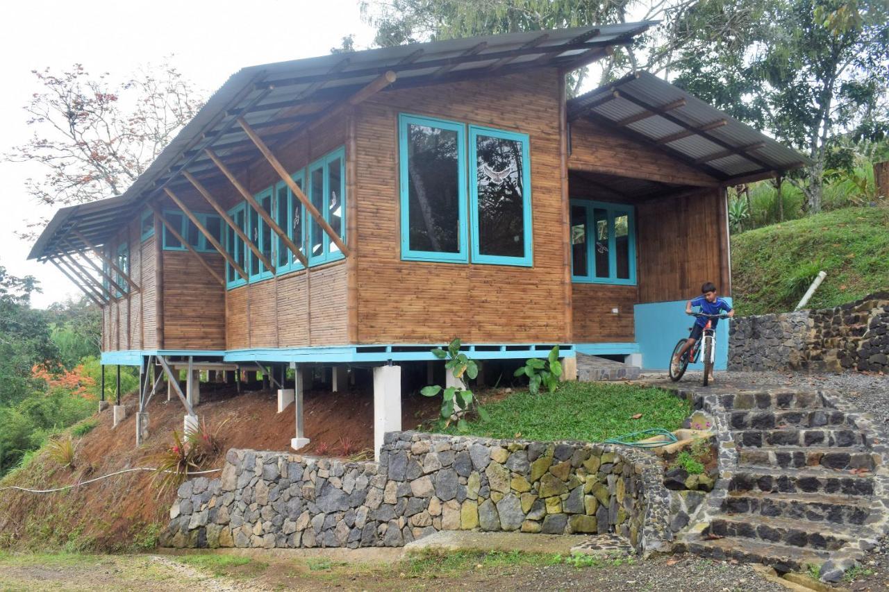 Вилла Casa De Bambu Турриальба Экстерьер фото