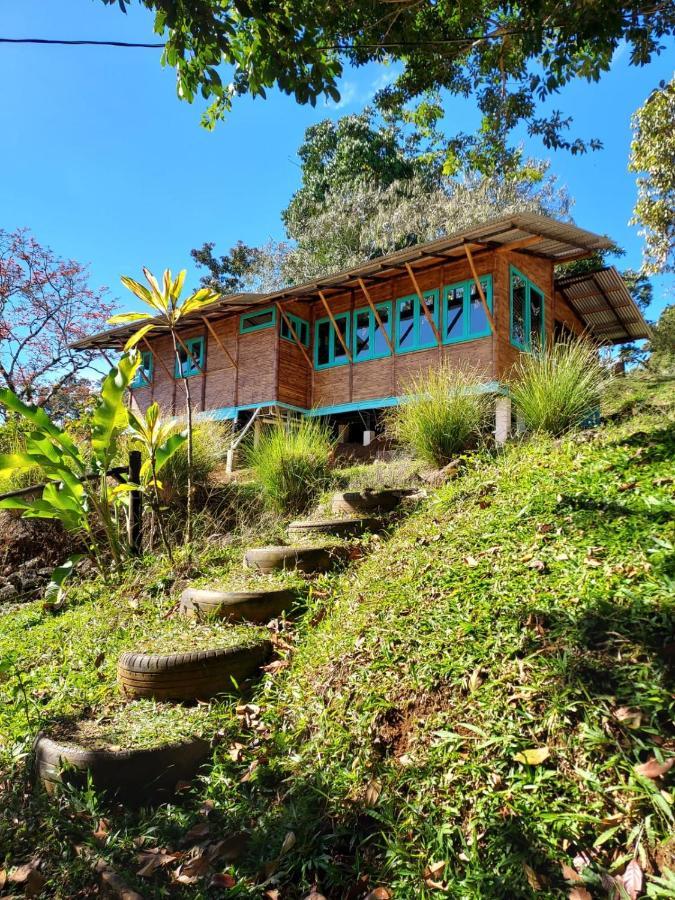 Вилла Casa De Bambu Турриальба Экстерьер фото
